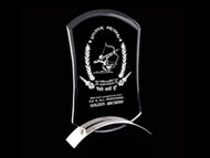 Acrylic Trophy