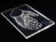 Acrylic Engraving (PMMA Engraving/Plexiglass Engraving/Perspex Engraving)